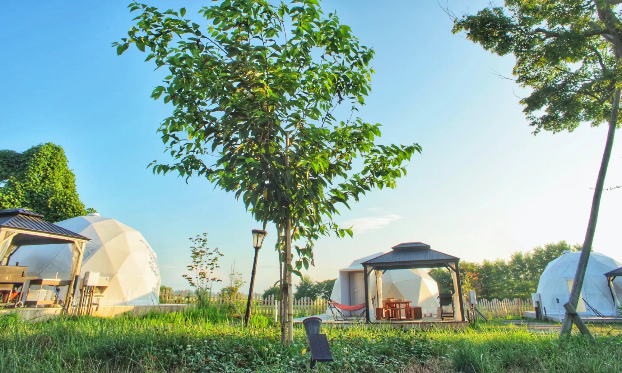 自然を大切にする心を育む