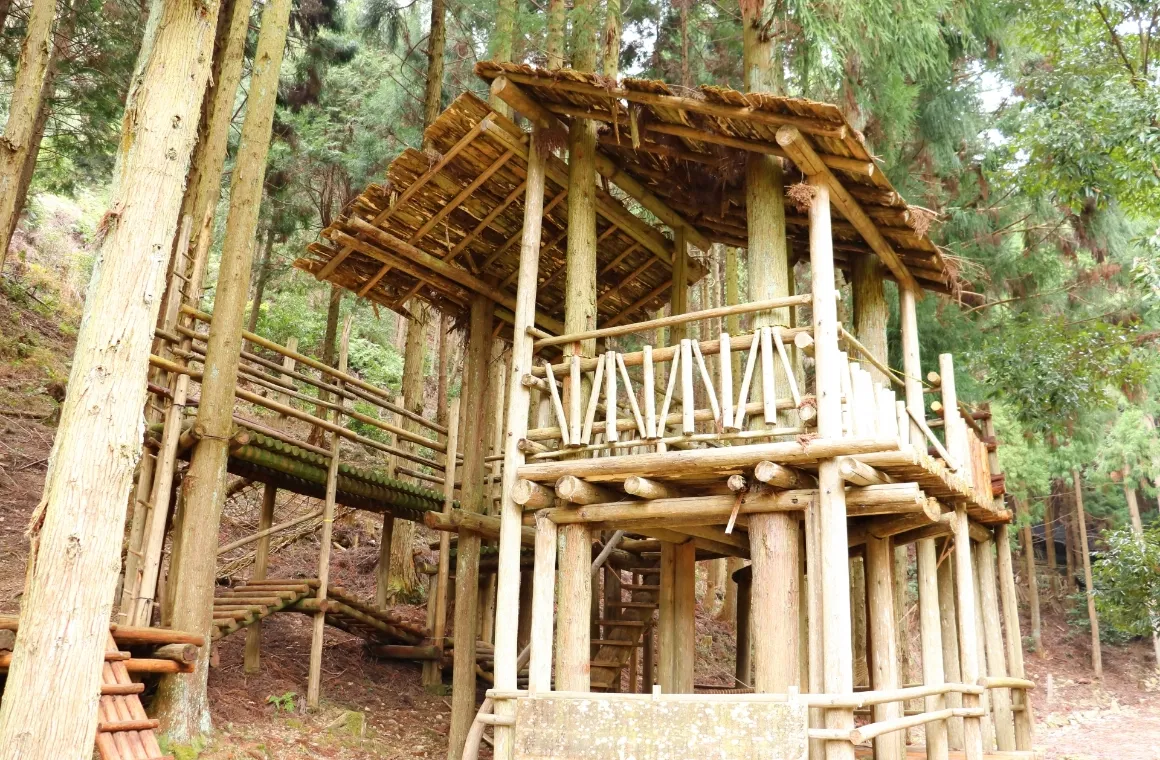 ツリーハウス