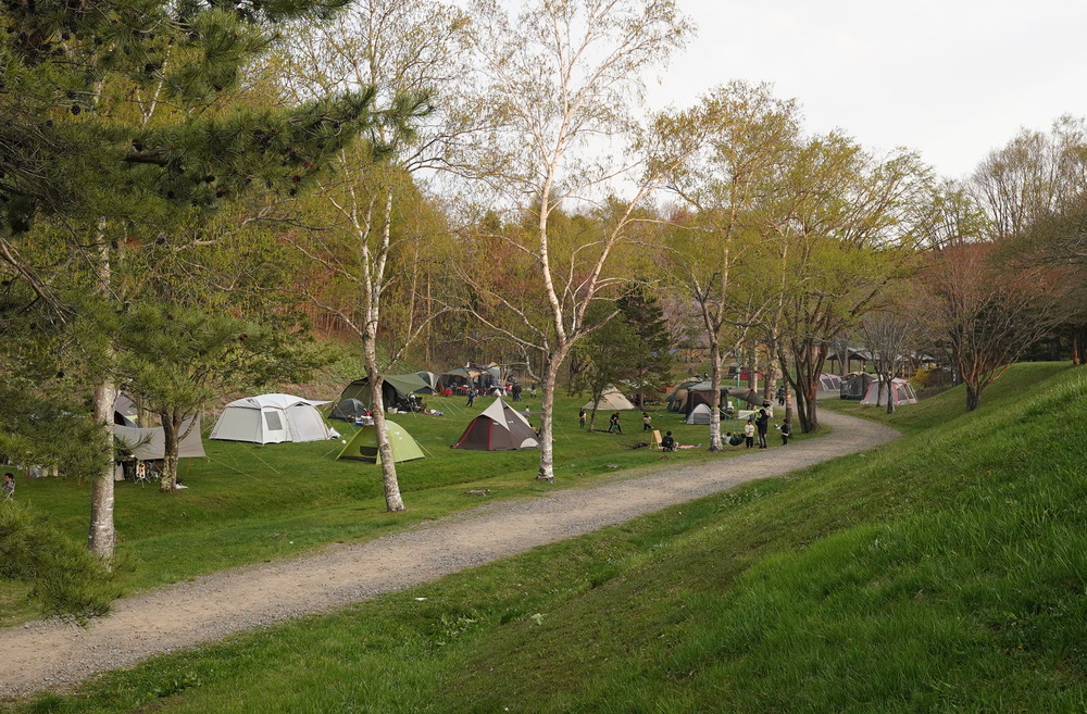 フリーサイト（大型）